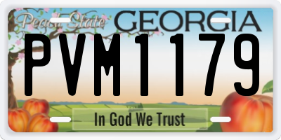 GA license plate PVM1179
