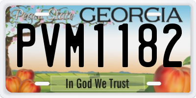 GA license plate PVM1182