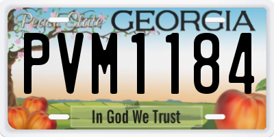 GA license plate PVM1184