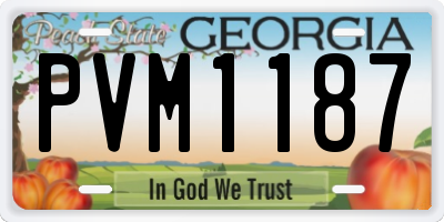 GA license plate PVM1187