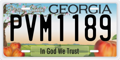 GA license plate PVM1189