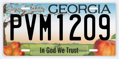 GA license plate PVM1209