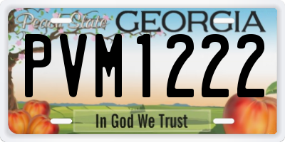 GA license plate PVM1222