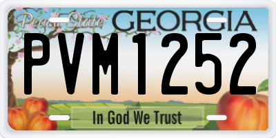 GA license plate PVM1252