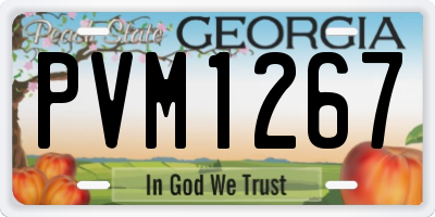 GA license plate PVM1267