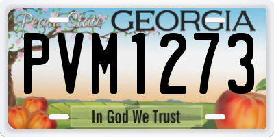 GA license plate PVM1273