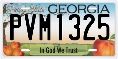 GA license plate PVM1325