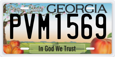 GA license plate PVM1569