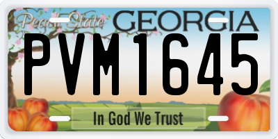 GA license plate PVM1645