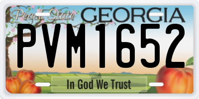 GA license plate PVM1652