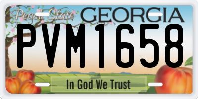 GA license plate PVM1658