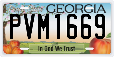 GA license plate PVM1669