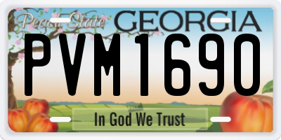 GA license plate PVM1690