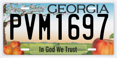 GA license plate PVM1697