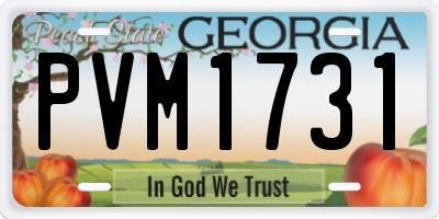GA license plate PVM1731