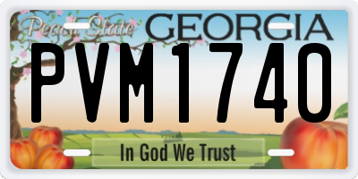 GA license plate PVM1740