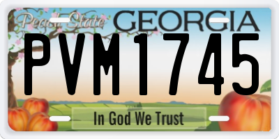 GA license plate PVM1745