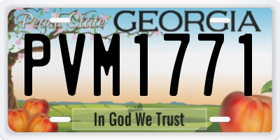 GA license plate PVM1771