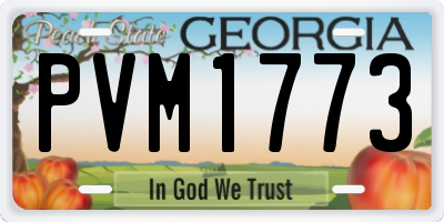 GA license plate PVM1773
