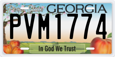 GA license plate PVM1774