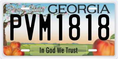 GA license plate PVM1818