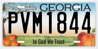 GA license plate PVM1844