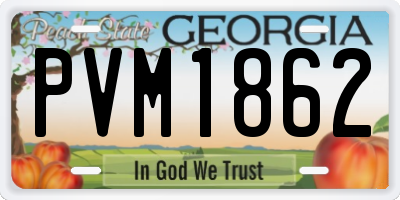 GA license plate PVM1862