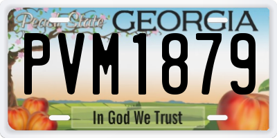 GA license plate PVM1879