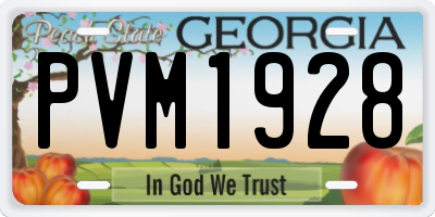 GA license plate PVM1928