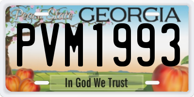 GA license plate PVM1993