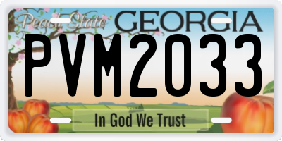 GA license plate PVM2033