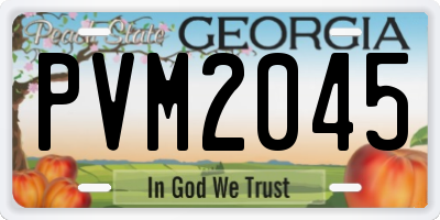 GA license plate PVM2045