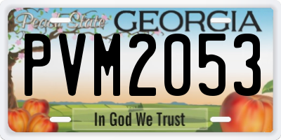 GA license plate PVM2053