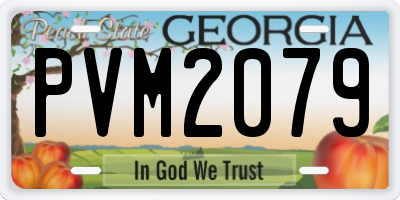 GA license plate PVM2079