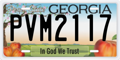 GA license plate PVM2117