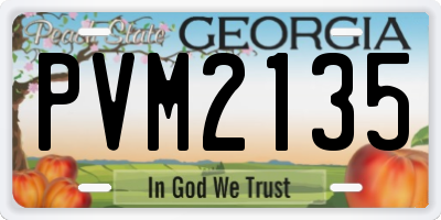 GA license plate PVM2135