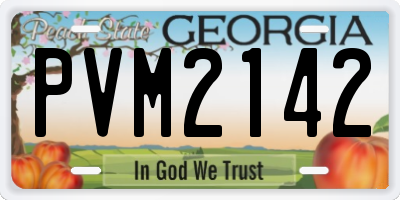 GA license plate PVM2142