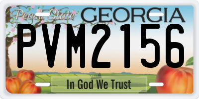 GA license plate PVM2156