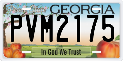 GA license plate PVM2175