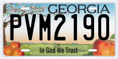 GA license plate PVM2190