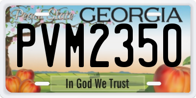 GA license plate PVM2350