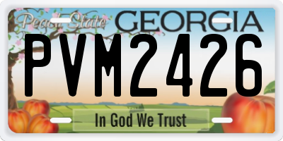 GA license plate PVM2426