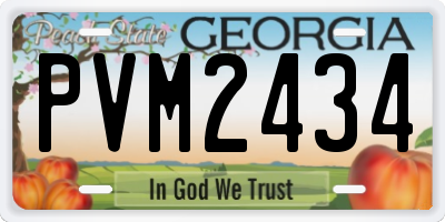 GA license plate PVM2434