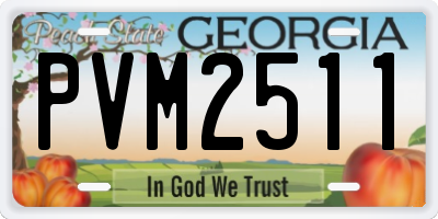GA license plate PVM2511