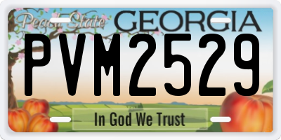 GA license plate PVM2529
