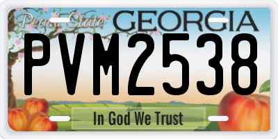 GA license plate PVM2538
