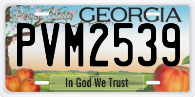 GA license plate PVM2539