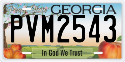 GA license plate PVM2543