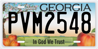 GA license plate PVM2548