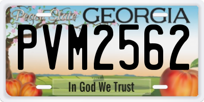 GA license plate PVM2562